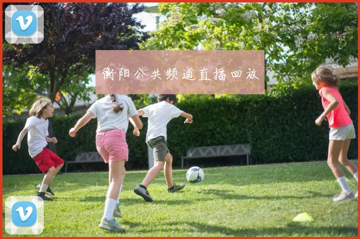 衡阳公共频道直播回放