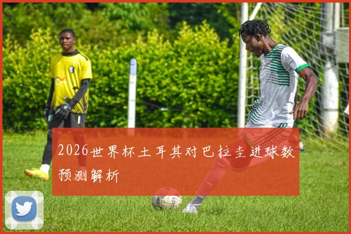 2026世界杯土耳其对巴拉圭进球数预测解析