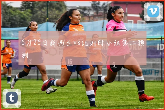 6月26日新西兰vs比利时小组第二预测