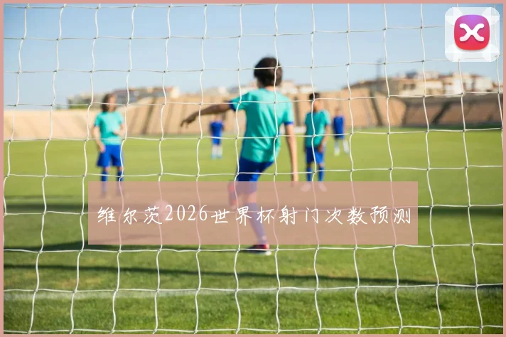 维尔茨2026世界杯射门次数预测