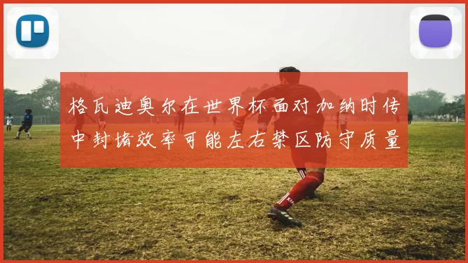 格瓦迪奥尔在世界杯面对加纳时传中封堵效率可能左右禁区防守质量